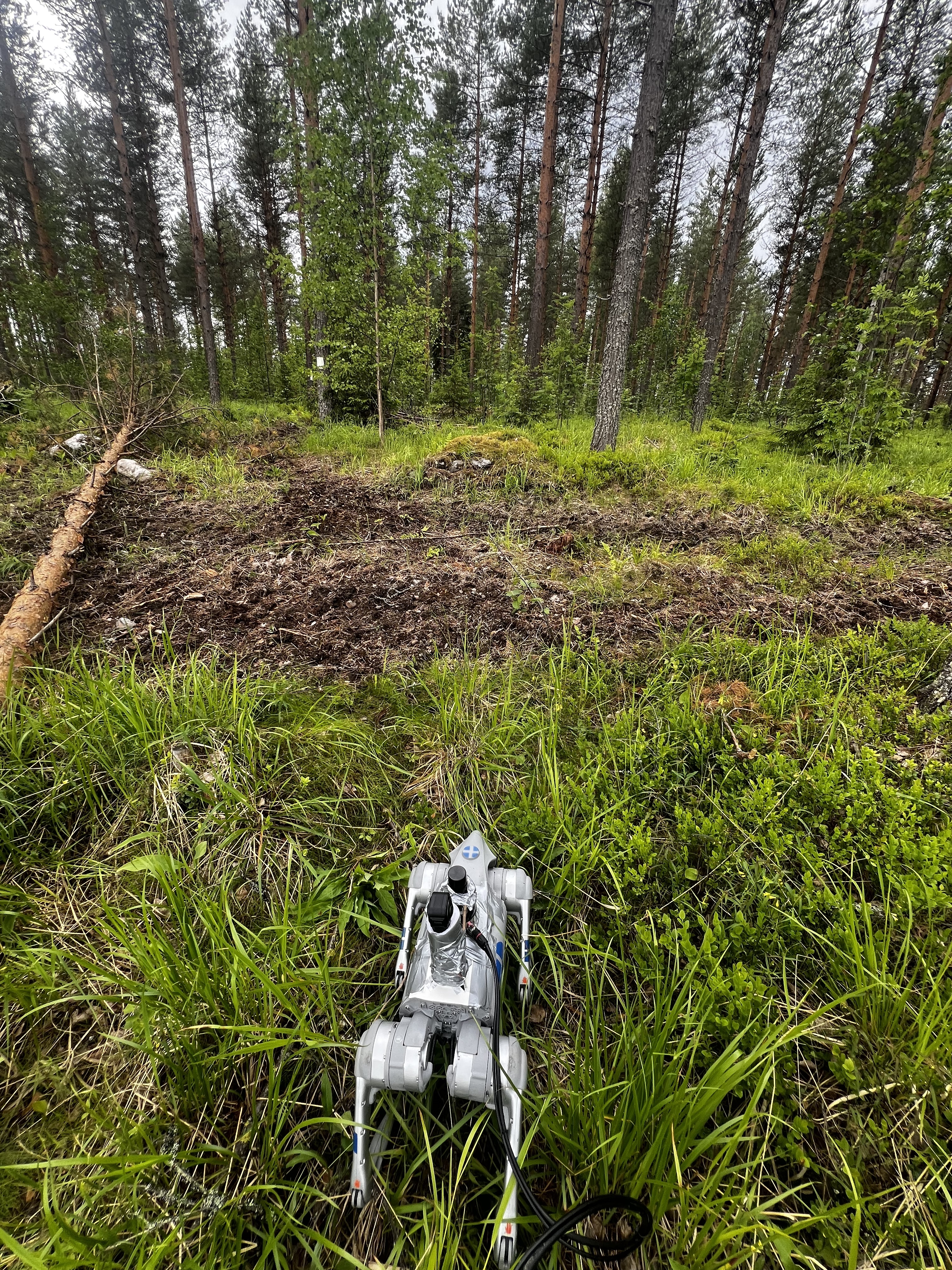Forestry